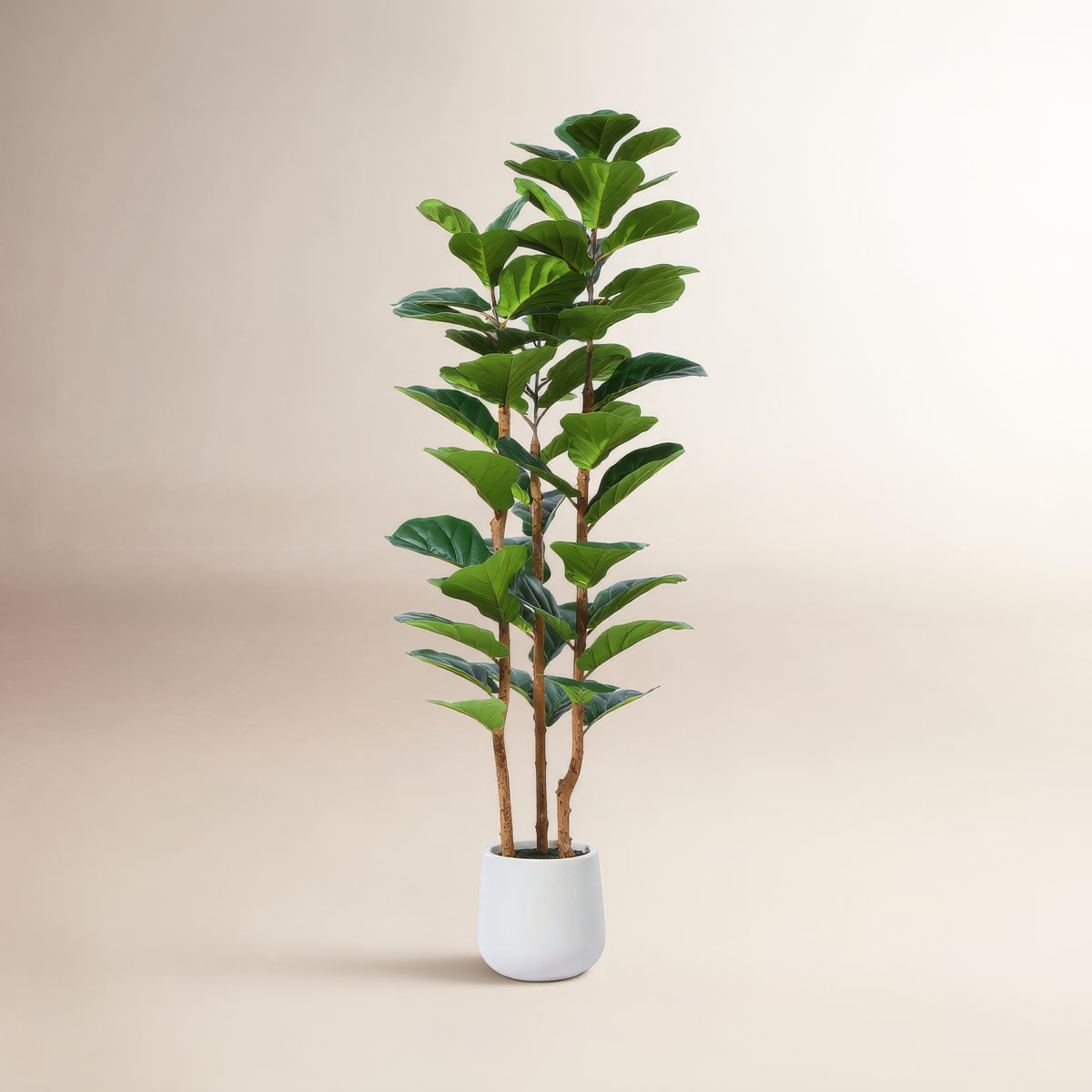 AllModern 60″ Artificial Fiddle Leaf Fig Tree,  (originally 0)